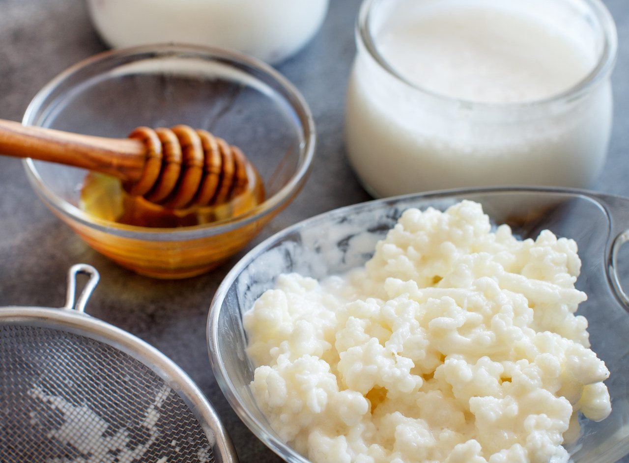 kefir de leite
